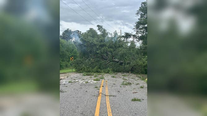 Tornado damage in Alabama