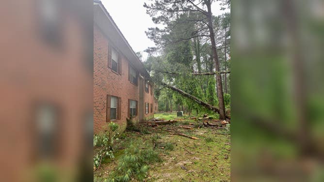Tornado damage in Alabama