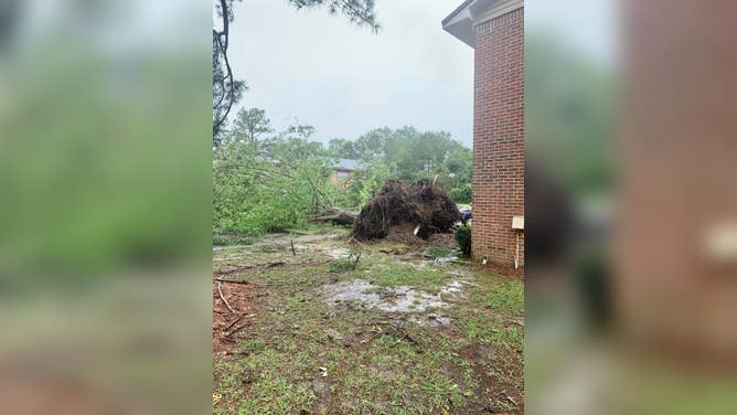 Tornado damage in Alabama