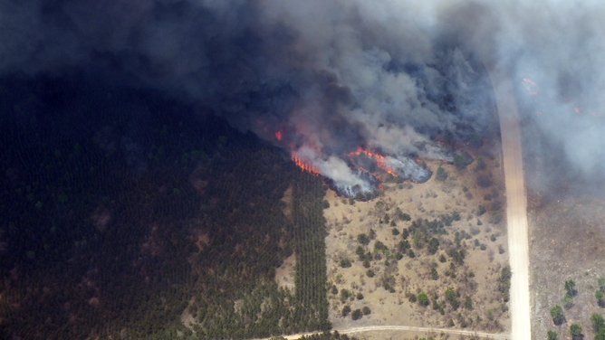 A massive wildfire is seen burning near a road in Michigan.