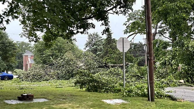 Storm damage in central Illinois