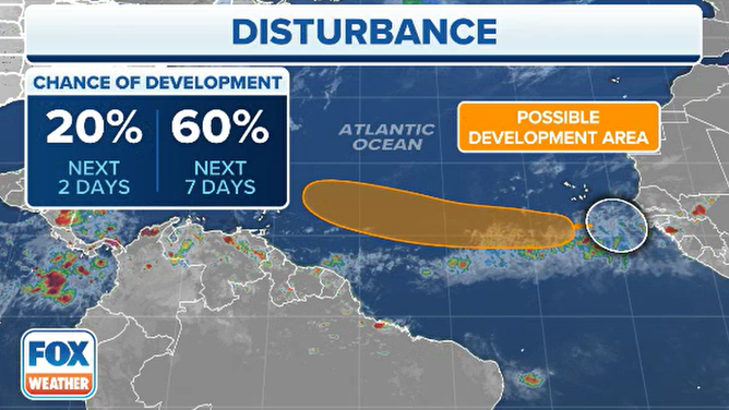 Tropical development