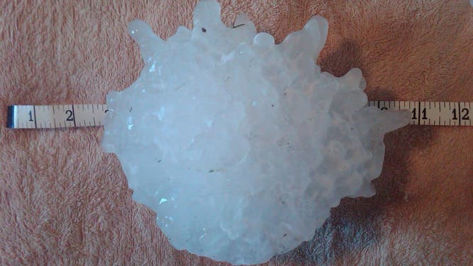 Record hailstone