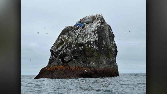Man's world record endeavor on remote island comes to halt as bad weather forces rescue