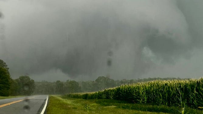 Apparent tornado east of Blakely, Georgia. June 14, 2023.