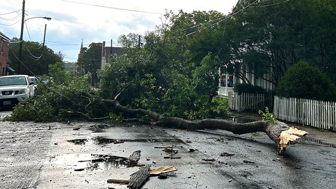 A large tree limb took down power lines as it fell onto a street in Smithfield, Virginia, during a storm on June 16, 2023.