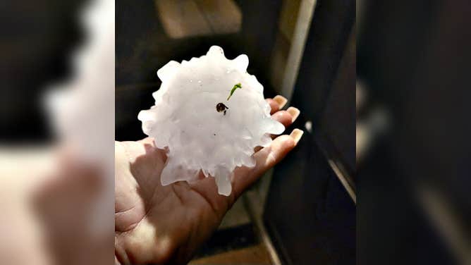 Texas large hail