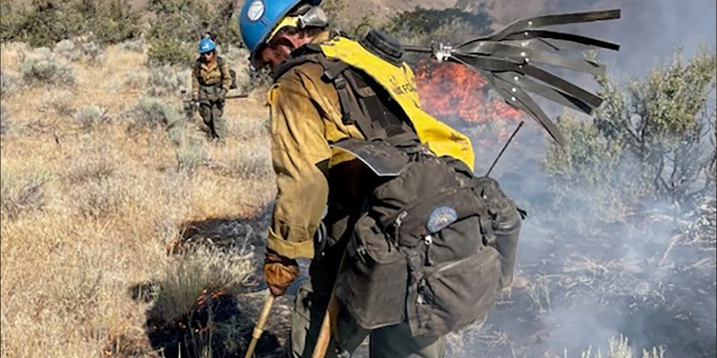 Winddriven Newell Road Fire explodes in Washington as it threatens