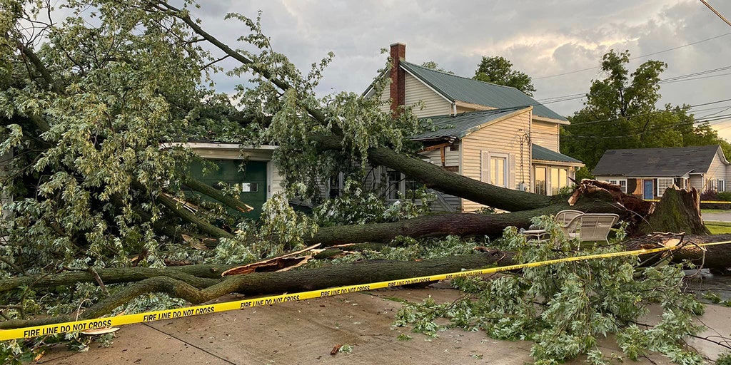 Ohio woman killed after tree falls on home, trapping her and husband ...