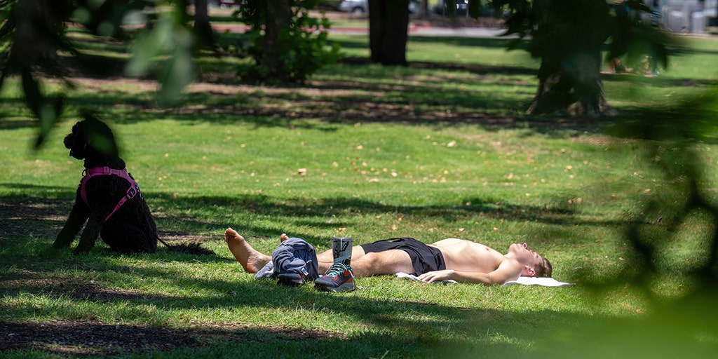 Dangerous heat wave covers millions across southern US with record ...