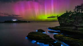 Northern Lights dance above lightning and bioluminescence