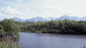 Cluster of earthquakes strike southeast Alaska with more than 20 aftershocks after massive magnitude 7.0 quake