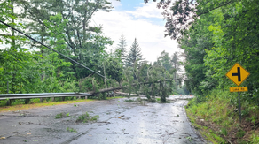 Severe thunderstorms race across Northeast producing wind damage