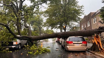 80-mph winds rip through Washington, DC, causing significant damage across metro