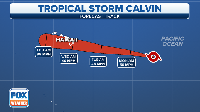 The forecast cone for Calvin in the Eastern Pacific.
