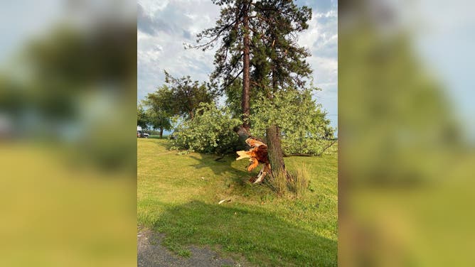 One woman was killed in Ohio City, Ohio, after a tree fell on her house Wednesday, July 20, 2023.