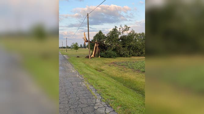 One woman was killed in Ohio City, Ohio, after a tree fell on her house Wednesday, July 20, 2023.
