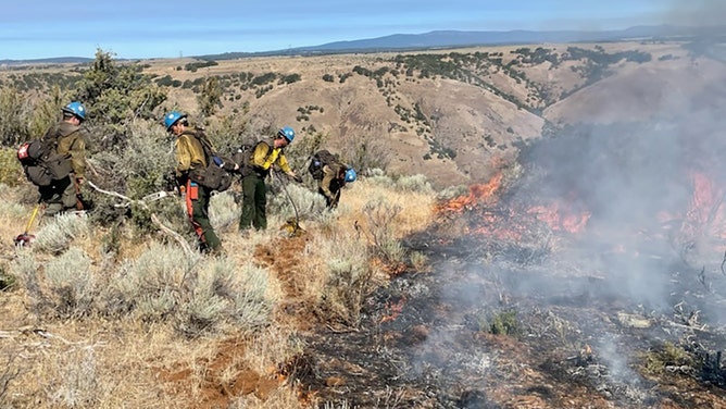 Prineville Hotshots construct handlines along the Newell Road Fire's edge.