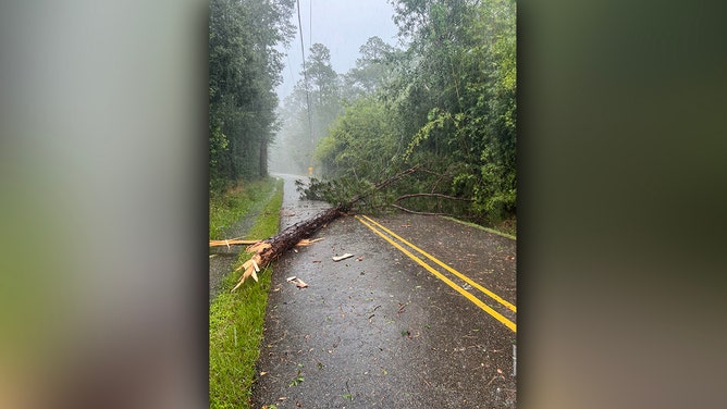 Tree, power line fall on Louisiana man's car during severe storms, dashcam shows