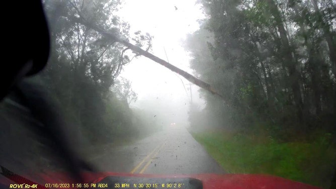 Tree, power line fall on Louisiana man's car during severe storms, dashcam shows