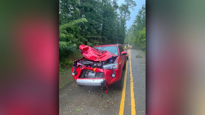 Tree, power line fall on Louisiana man's car during severe storms, dashcam shows
