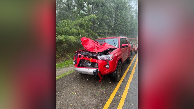 Tree, power line fall on Louisiana man's car during severe storms, dashcam shows
