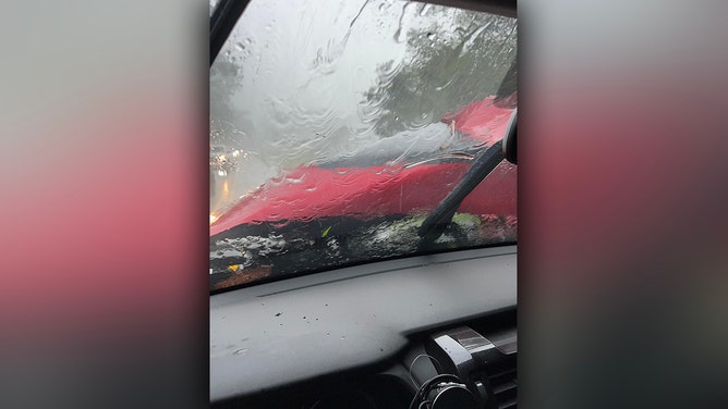 Tree, power line fall on Louisiana man's car during severe storms, dashcam shows