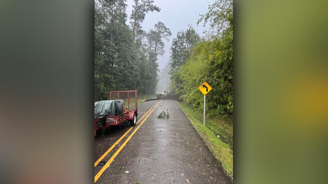 Tree, power line fall on Louisiana man's car during severe storms, dashcam shows