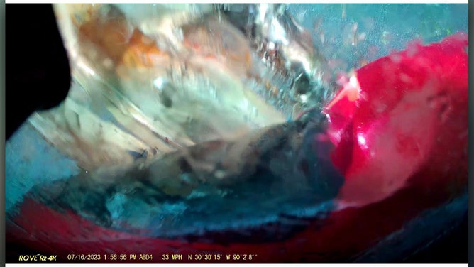 Tree, power line fall on Louisiana man's car during severe storms, dashcam shows