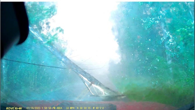 Tree, power line fall on Louisiana man's car during severe storms, dashcam shows