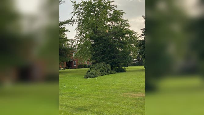 One woman was killed in Ohio City, Ohio, after a tree fell on her house Wednesday, July 20, 2023.