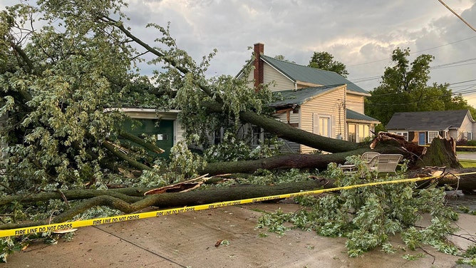 One person was critically injured in Ohio City, Ohio, when s tree fell on the house patio.