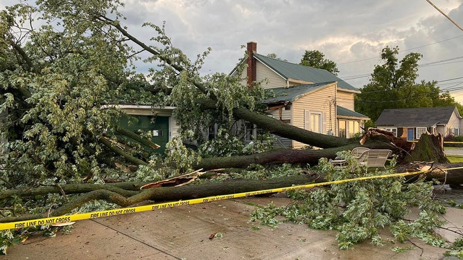 One person was critically injured in Ohio City, Ohio, when s tree fell on the house patio.