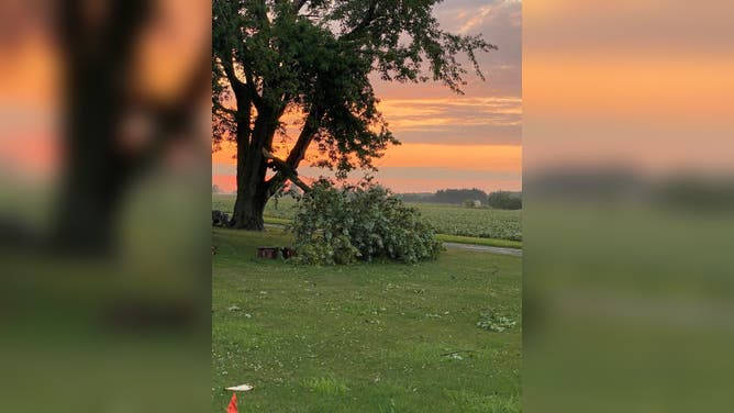 One woman was killed in Ohio City, Ohio, after a tree fell on her house Wednesday, July 20, 2023.