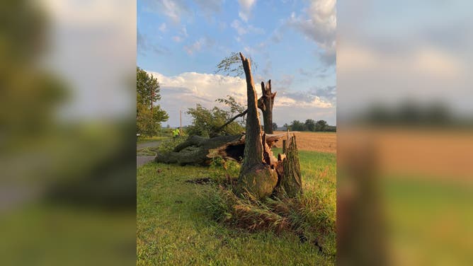 One woman was killed in Ohio City, Ohio, after a tree fell on her house Wednesday, July 20, 2023.