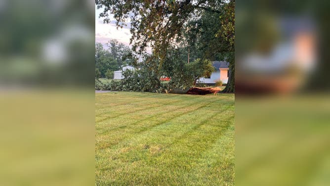 One woman was killed in Ohio City, Ohio, after a tree fell on her house Wednesday, July 20, 2023.