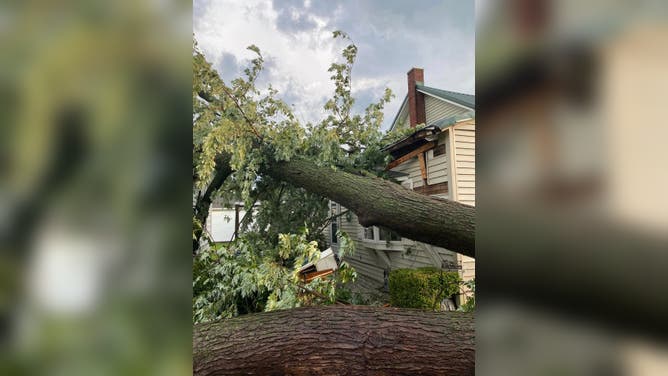 One woman was killed in Ohio City, Ohio, after a tree fell on her house Wednesday, July 20, 2023.
