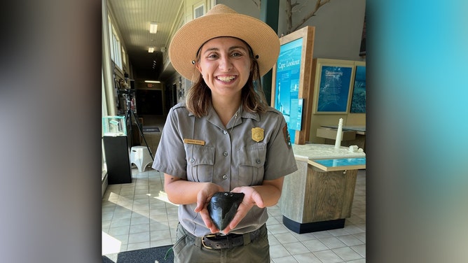 A Cape Lookout National Seashore park ranger happily holds the large fossil shark tooth found on the beach by a mother and son while beachcombing on Cape Lookout, North Carolina.