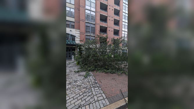 DC storm damage