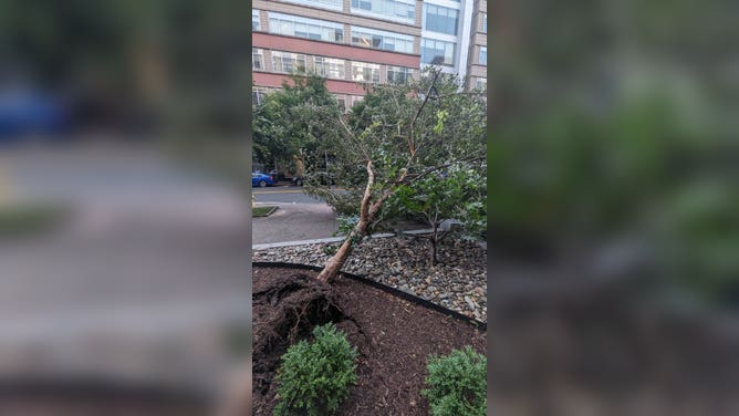 DC storm damage