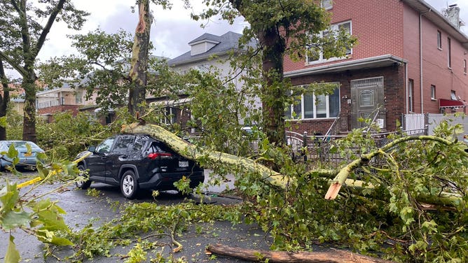 New York storm damage