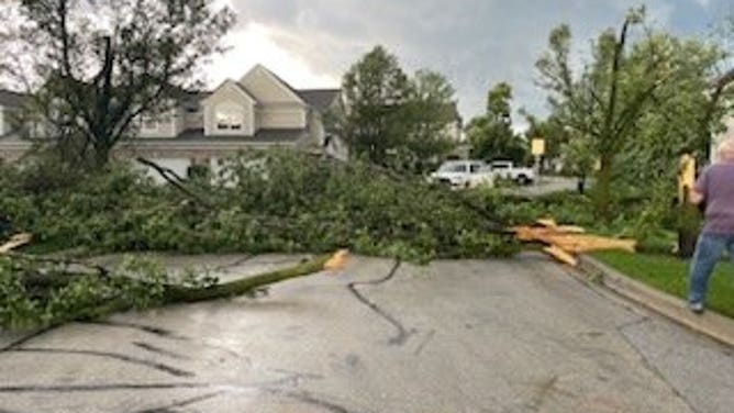 Damage in Indian Head Park