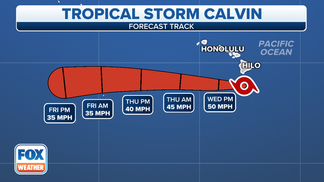 Tropical Storm Calvin cone.