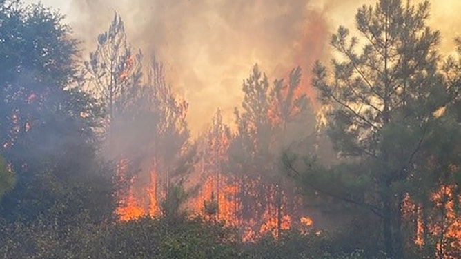 The Blum Fire in Hill County was sparked on Wednesday and has already engulfed approximately 250 acres with 0% containment, according to the Texas A&M Forest Service. Shockingly, five homes have already been destroyed, with over 25 buildings in immediate danger.