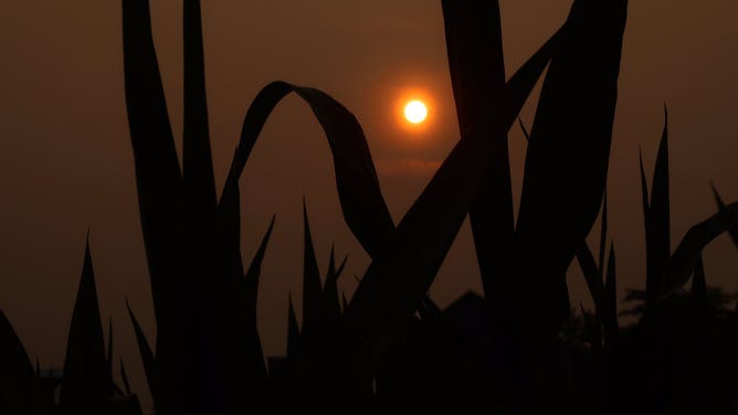 Canadian wildfire smoke over Kewaskum, Wisconsin early on Monday, July 24, 2023. (Photo: Sunrise@klink_bruce/Twitter)