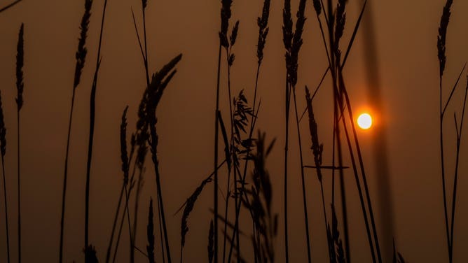 Canadian wildfire smoke over Kewaskum, Wisconsin early on Monday, July 24, 2023. (Photo: Sunrise@klink_bruce/Twitter)