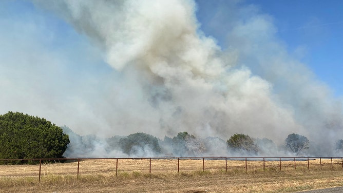 The Blum Fire in Hill County was sparked on Wednesday and has already engulfed approximately 250 acres with 0% containment, according to the Texas A&M Forest Service. Shockingly, five homes have already been destroyed, with over 25 buildings in immediate danger.