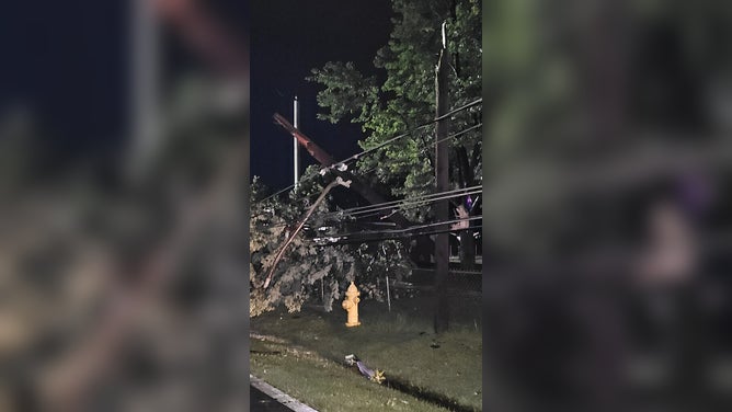 Damages from severe thunderstorms in Springfield, Missouri on July 31, 2023. (Image credit: Cities Utilities)