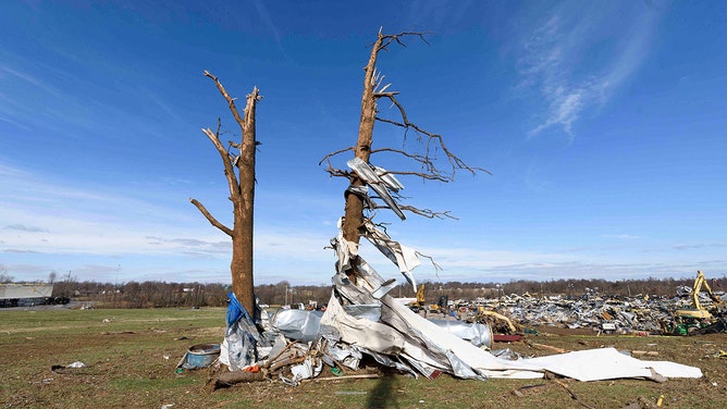 Debris is wrapped around danaged trees as emergency workers search through what is left of the Mayfield Consumer Products Candle Factory after it was destroyed by a tornado in Mayfield, Kentucky, on December 11, 2021.