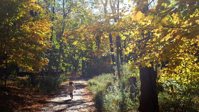 Ramapo Valley County Reservation MAHWAH, NJ - October 18: A little girl runs down a path in the woods during autumn at Ramapo Valley County Reservation on October 18, 2022 in MAHWAH, NJ. (Photo by Michael Bocchieri/Getty Images)